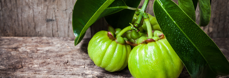 Garcinia Cambogia